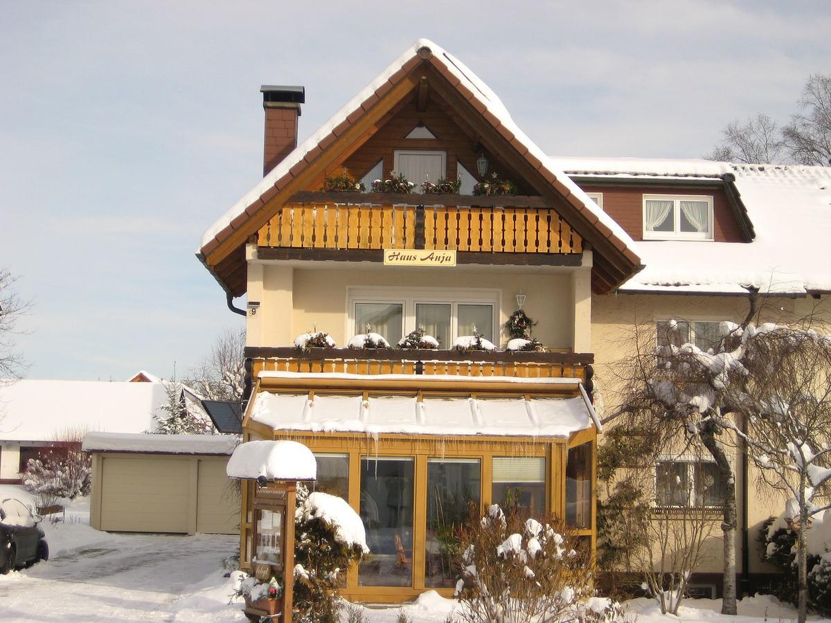Haus Anja Apartment Titisee-Neustadt Luaran gambar